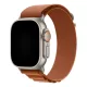 Apple Watch terrakotta alpesi szíj titánszürke csattal